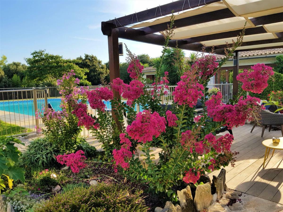 Poisson Rouge Otel Bonifacio  Dış mekan fotoğraf